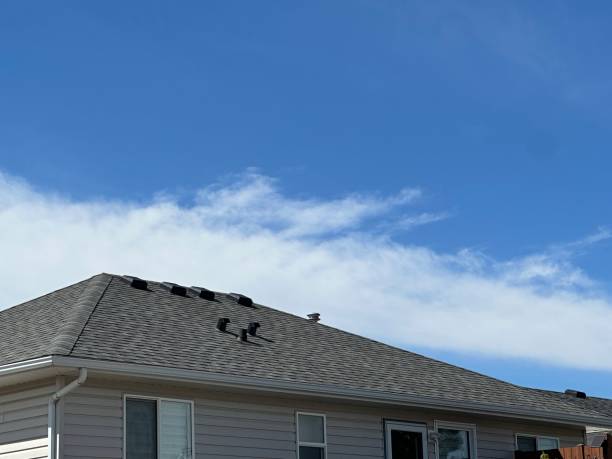 Best Gutter Installation and Repair  in Delshire, OH